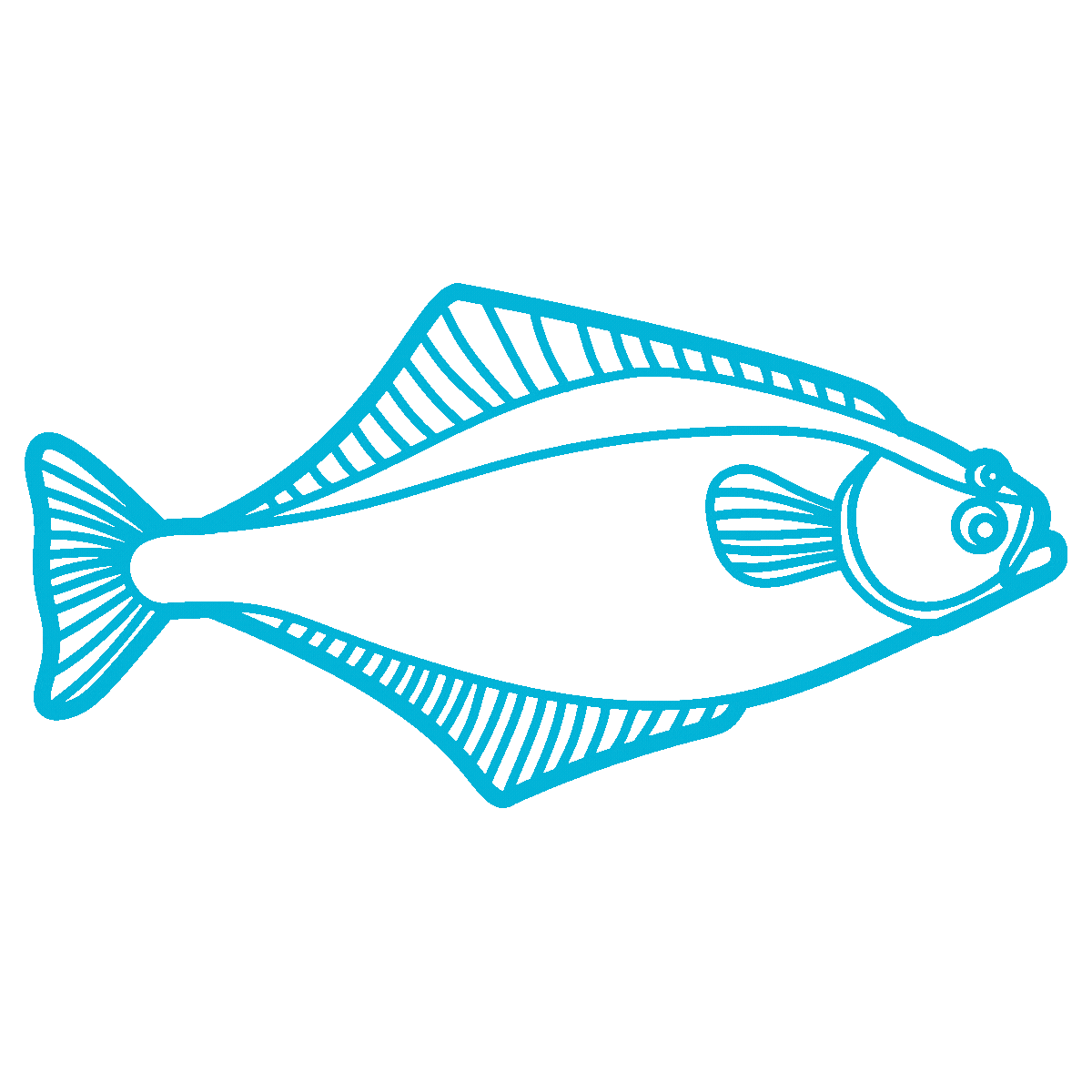 halibut icon