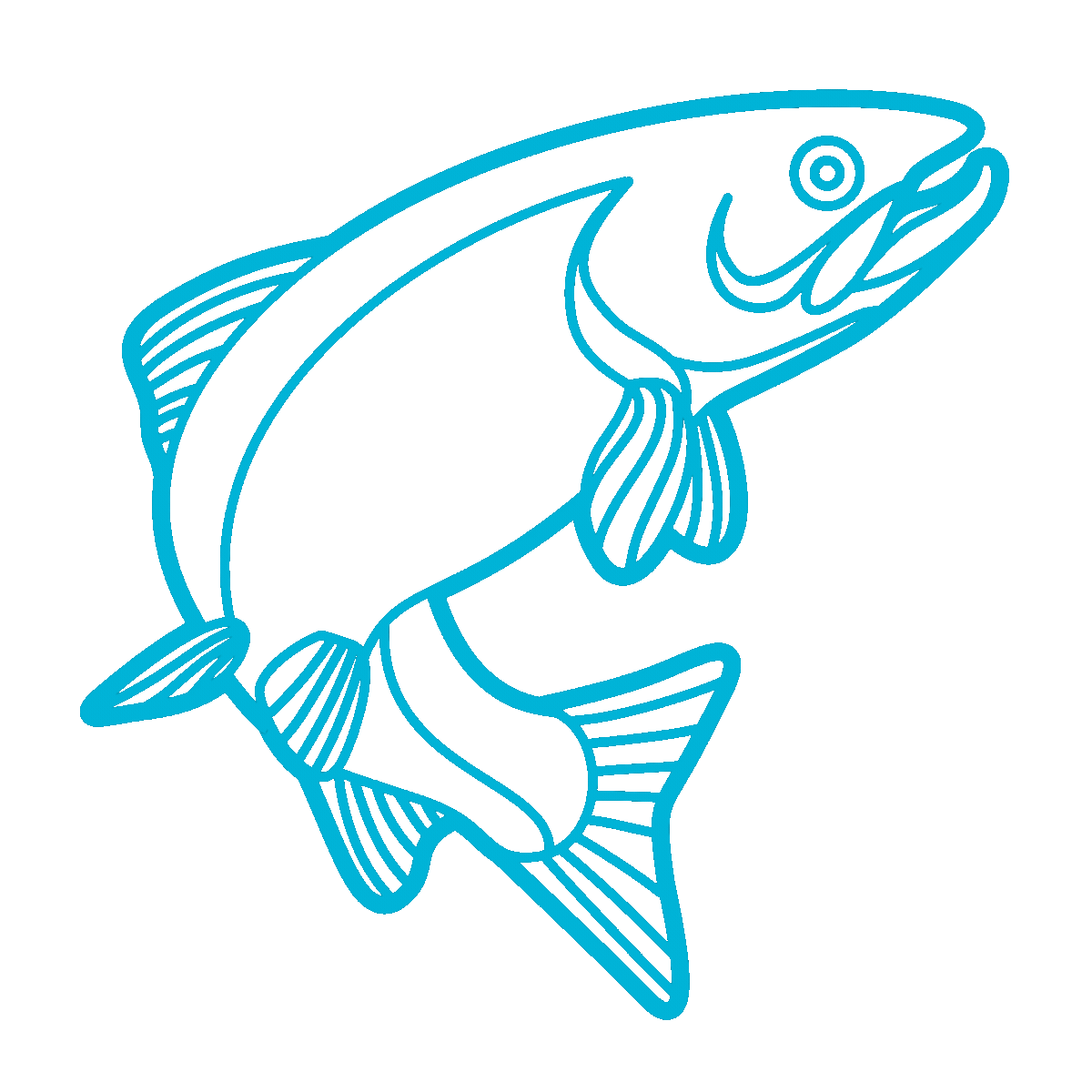 salmonicon